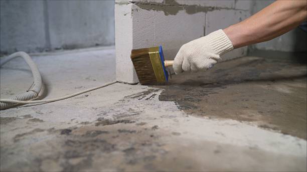 SJ Waterproofing Pros Waterproofing coverage map for Zionsville, IN and surrounding area